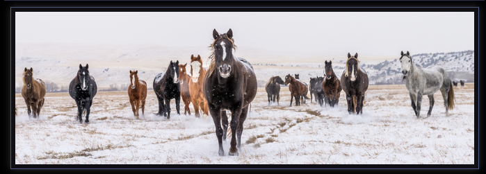 13 : Richard Horst – His Nature, Wildlife, Horse, Landscape & Lifestyle photography business