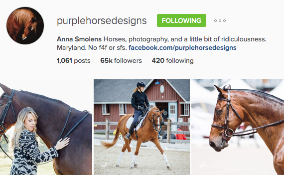 Anna Smolens Purple Horse Design Instagram Account